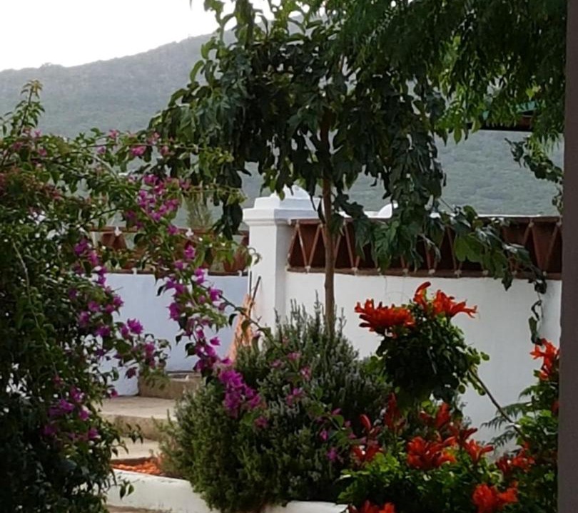 Photo of Others in Merida