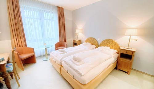 Basic Double Room