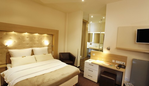 Business Double Room Single Use