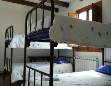 Bunk Bed in Mixed Dormitory Room
