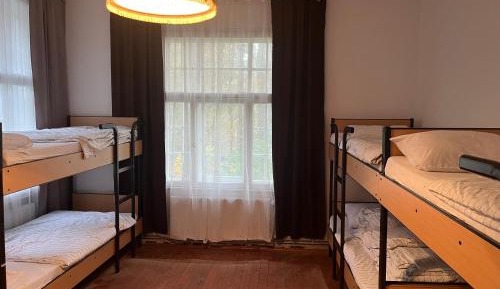 Bed in 8-Bed Mixed Dormitory Room