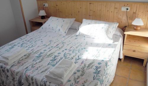 Economy Twin Room