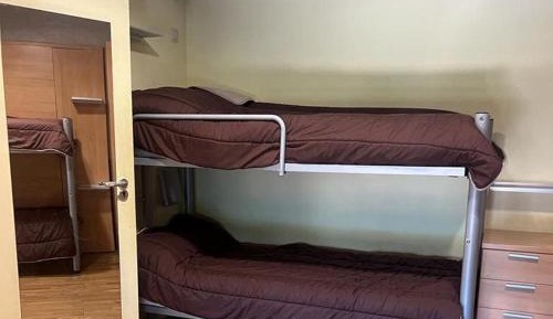 Bed in 4-Bed Mixed Dormitory Room