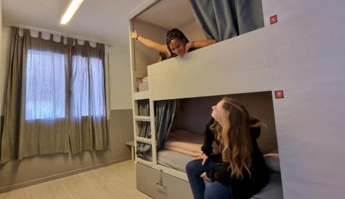 Bed in 4-Bed Mixed Dormitory Room