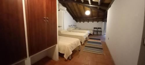 Bed in 6-Bed Dormitory Room