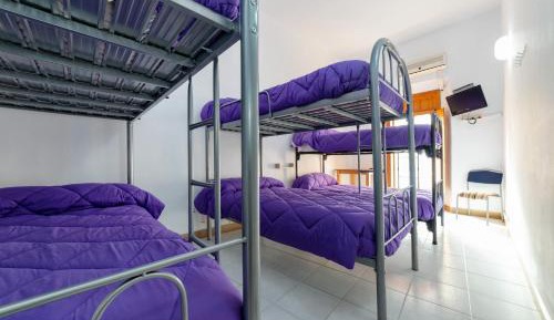 Bunk Bed in Mixed Dormitory Room