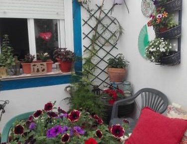 Double Room with Shared Bathroom